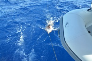 nearing the Caribbean, time for a dip