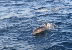 Our friends showed us the way home.